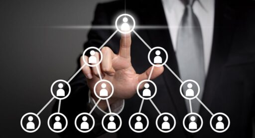 mlm-software-development