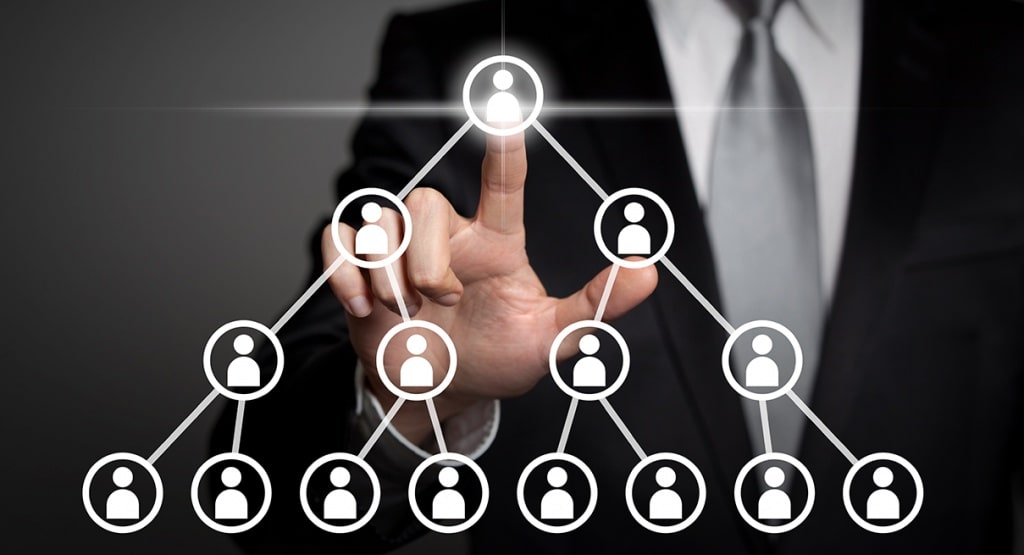mlm-software-development